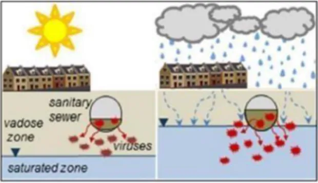 Gambar 1. Proses pencemaran oleh limbah medis  pada saat tingginya curah hujan 5