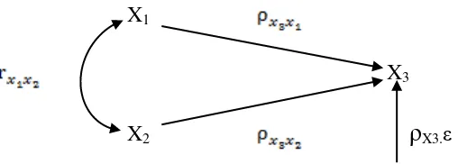 Gambar 2.9  Hubungan Kausal dari X1, X2, Ke X3 