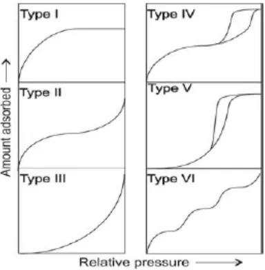 Gambar 2.1. Klasifikasi isoterm sorpsi uap air dan berbagai bentuknya (Sing, et al., 1985)