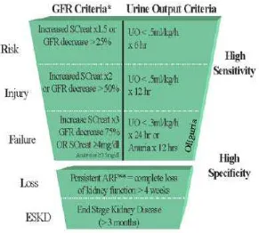 Gambar 4. Kriteria gagal ginjal akut 