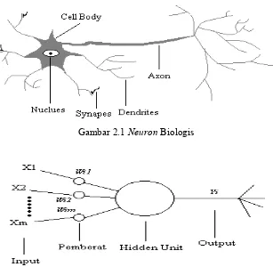 Gambar 2.1 Neuron Biologis