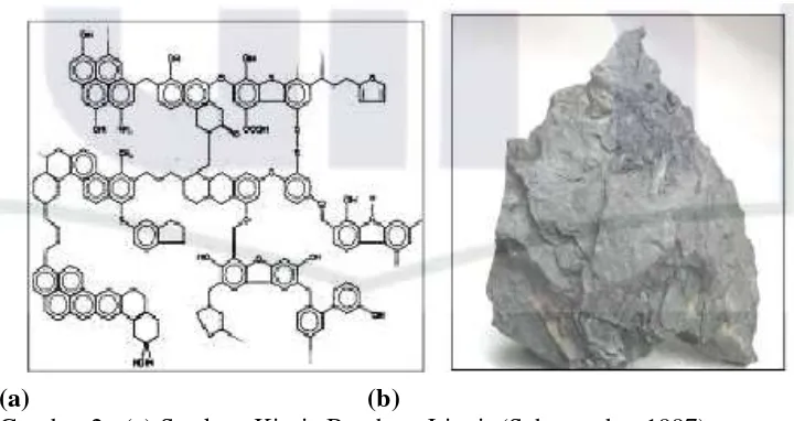 Gambar 2 . (a) Struktur Kimia Batubara Lignit (Schumacher,1997),  