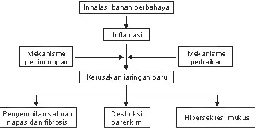 Gambar 1. Konsep patogenesis PPOK