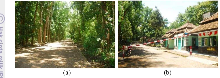 Gambar 12 Kondisi jalan di resort Rowobendo a) kondisi jalan di hutan tanaman 