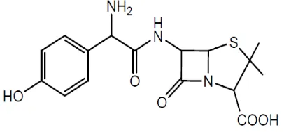 Gambar 2.6  Stuktur kimia amoksisilin 