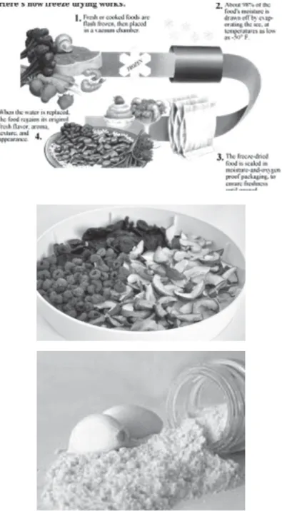 Gambar 17. Metode dan contoh produk freeze drying