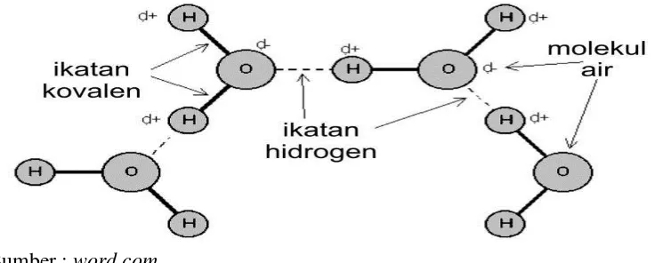 Gambar 2.7: Ikatan hidrogen. 