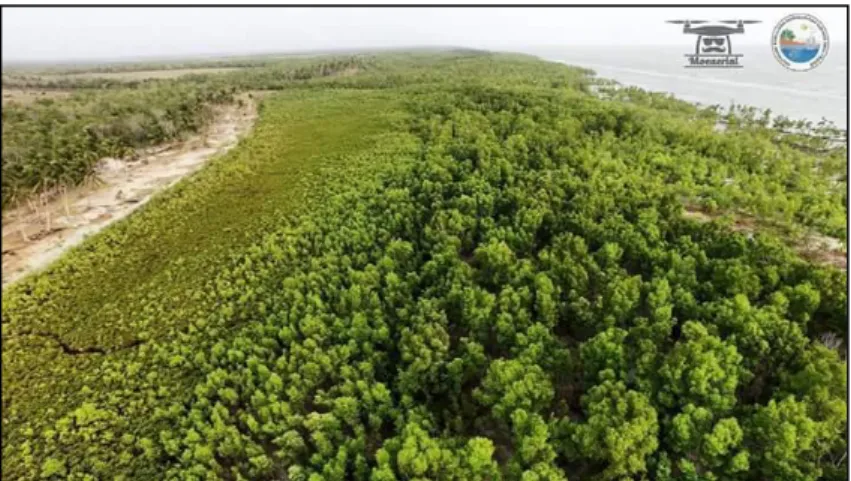 Gambar 1. Luasan mangrove pada pesisir payum Distrik Merauke. 