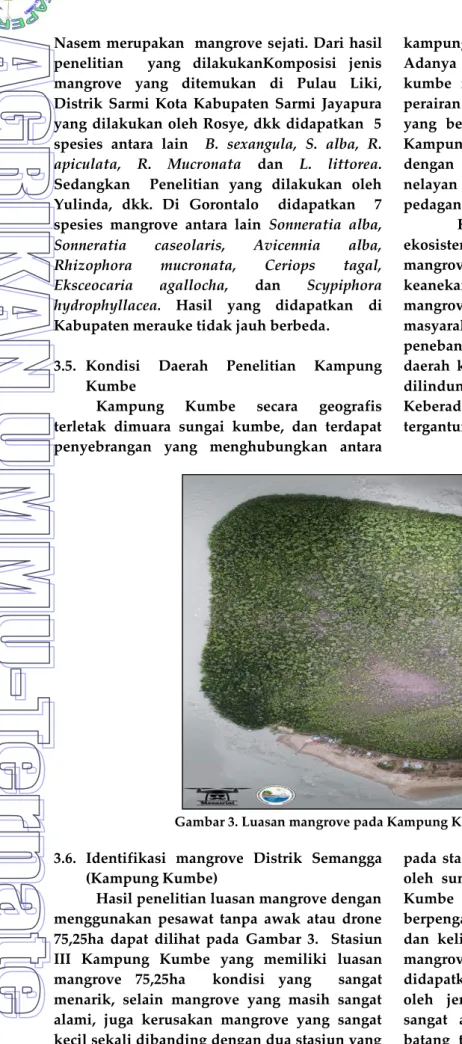 Gambar 3. Luasan mangrove pada Kampung Kumbe Distrik Semangga  3.6.  Identifikasi  mangrove  Distrik  Semangga 