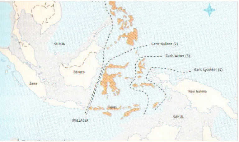 Gambar 1.4 Peta Zoogeograﬁ Kepulauan Indonesia