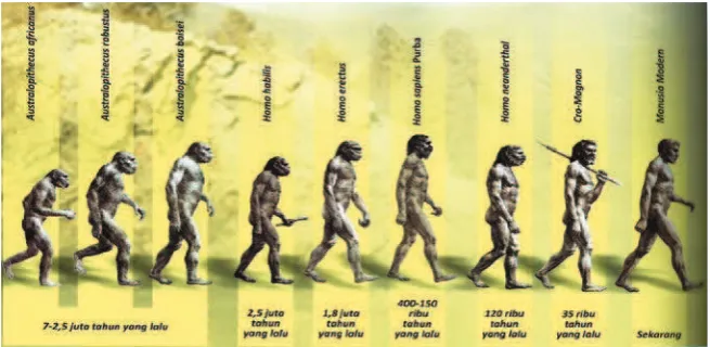 Gambar 1.13 Rekonstruksi tengkorak 