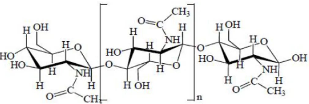 Gambar 1.  Struktur Kimia Kitin (Aranaz et al, 2009) 