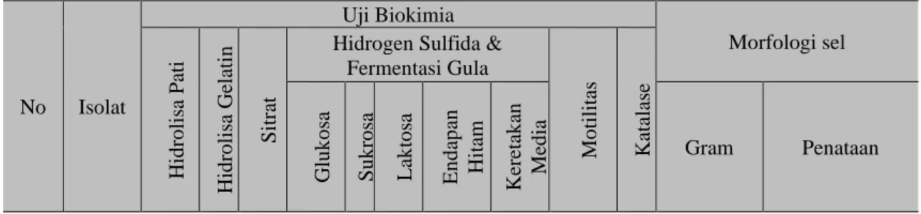 Tabel 5. Karakteristik biokimia sel dan pewarnaan bakteri kitinolitik dari saluran   pencernaan hewan pemakan serangga