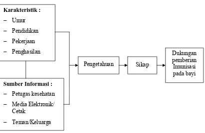 Gambar 1.1. Kerangka Konsep Penelitian 