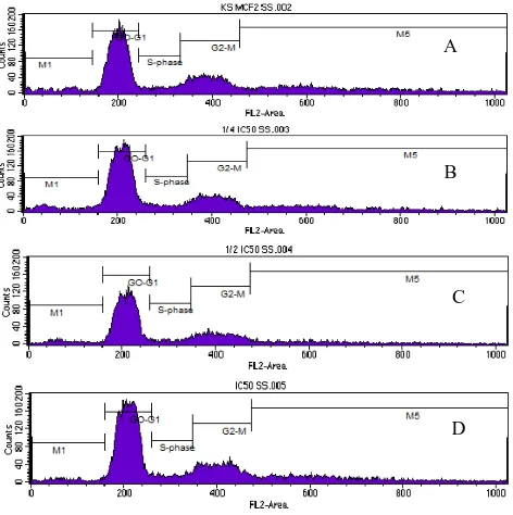 Gambar 4. Histogram hasil uji siklus sel ekstrak lengkuas pada sel MCF7, (A) kontrol sel MCF7, (B)     konsentrasi ekstrak ¼ kali IC50, (C) konsentrasi ekstrak ½ kali IC50, (D) konsentrasi ekstrak IC50 