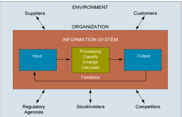 Gambar 2.4  Fungsi dari Sistem Informasi 