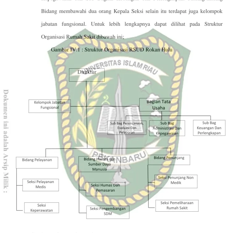Gambar IV.1 : Struktur Organisasi RSUD Rokan Hulu 