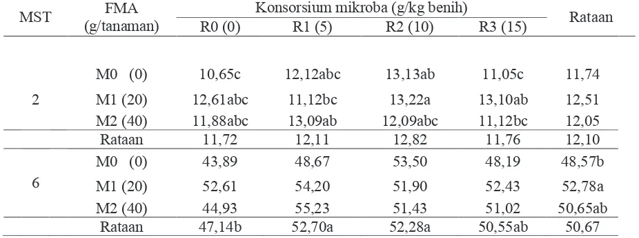 Tabel 1. Tinggi tanaman (cm) 2 dan 6 MST pada pemberian FMA dan konsorsium mikroba 