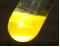 Fig. 4. Effect of Fermentation Duration on Ethanol Production. After DAP,  Fermentation was Carried Out by 1% (w/v) SC at 20 °C with Addition of MgSO4 (25 mM and 50 mM)