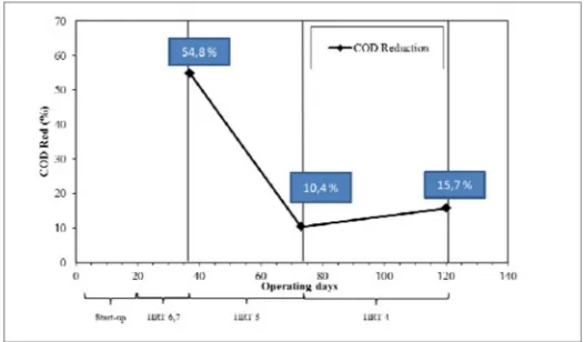 Figure 4. Effect of HRT reduction on microbial growth 