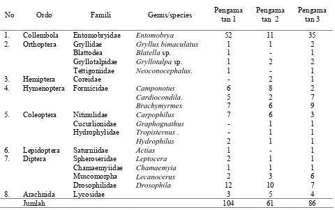 Tabel 5.2. Keanekaragaman Jenis Arthropoda Tanah pada Pertanaman Jeruk Petani yang Dilatih   