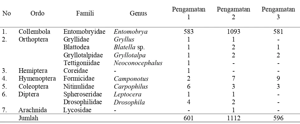 Tabel 5.4. Indeks Keanekaragaman Shannon-Wiener (H) pada Kebun Petani yang Dilatih dan yang Tidak Dilatih  