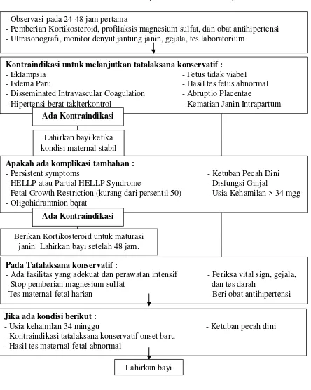 Gambar 1. Manajemen Konservatif Preeeklampsi7 