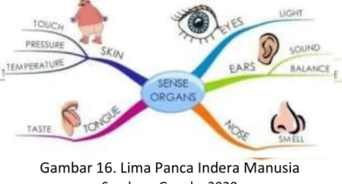 Gambar 17. Program yang dibuat   Sumber : Penulis, 2020 