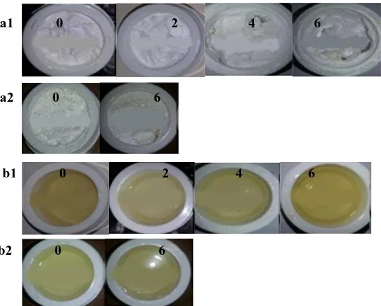 Figure 2. The results of organoleptic observations on oleanolic acid cream (a) and gel (b) stored in a climatic chamber (1) and at room temperature (2)