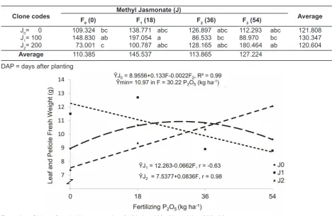 Table 2. Average disparity test on leaves and petioles (g) in the interaction between the treatment of giving methyl jasmonate and fertilizing phosphorous
