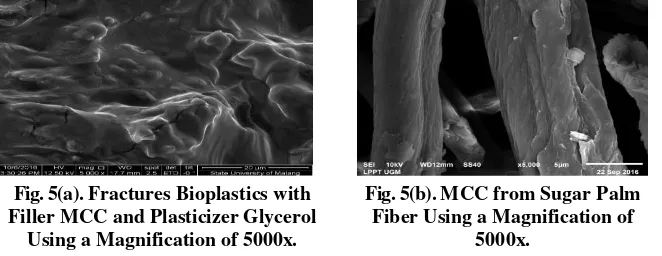 Fig. 5(a). Fractures Bioplastics with 