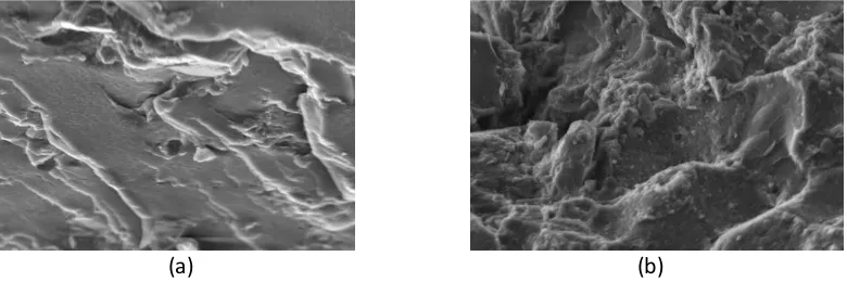 Figure 4. Effect of Addition Microparticle Chicken Egg Shells Filler to Modulus of Rapture (MOR) Biocomposite Denture Base