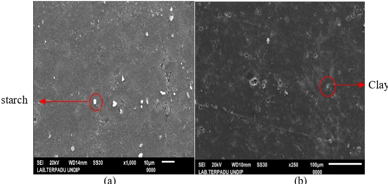 Figure 5. Morphology Analysis Report Fault (a) Bioplastics Mango Seeds Starch and (b) Bioplastics from Mango Seeds Starch With Microparticles Clay as Filler and Glycerol Plasticizer in Magnification 1000x 
