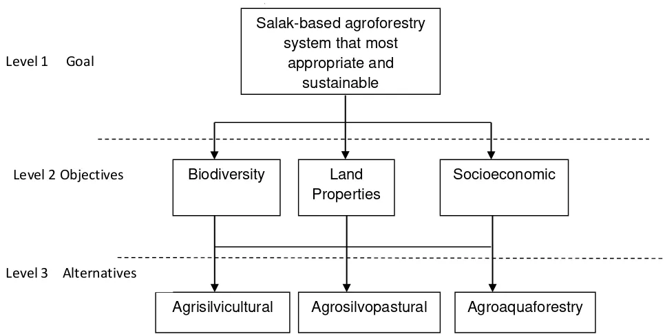 Figure 1: Hierarchical levels for decision-making to determine salak-based agroforestry system that most appropriate and sustainable for community in Tapanuli Selatan 