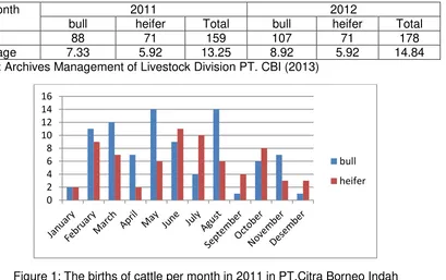 Figure 1: The births of cattle per month in 2011 in PT.Citra Borneo Indah 