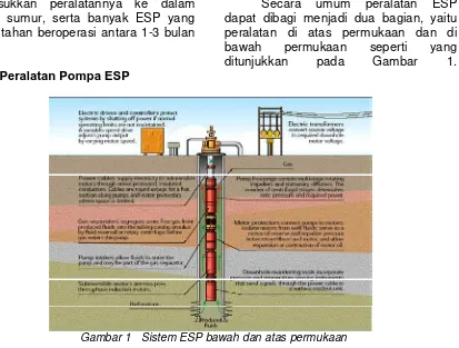 Gambar 1   Sistem ESP bawah dan atas permukaan 