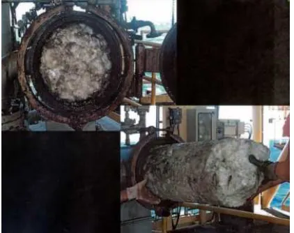 Gambar 2.1 Hydrate methane 