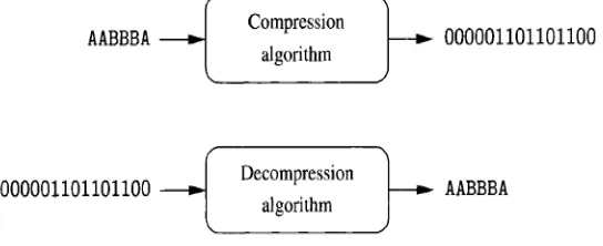 Gambar 2.1 Kompresi Lossless (Pu, 2006) 