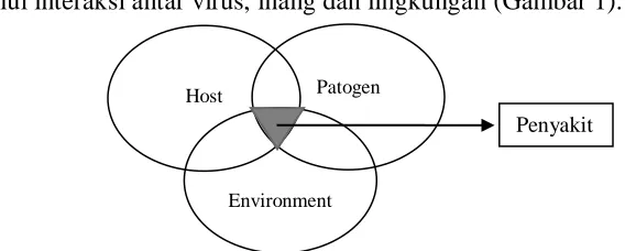 Gambar 1.   Pola hubungan interaksi antara patogen penyakit, inang dan lingkungan    (Lio-Po et al., 2001)