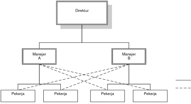 Gambar 2. 6. Struktur Organisasi Fungsional. 