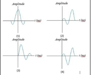 Gambar 2.11 Jenis Wavelet (1) Wavelet fasa nol, (2) Wavelet fasa maksimum, (3) Wavelet fasa  minimum, (4) Wavelet campuran (Sukmono, 1999)