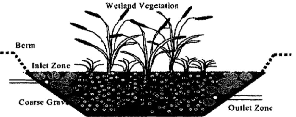 Figure 2.  Subsurface  now  (SSF) constructed  weiland. 