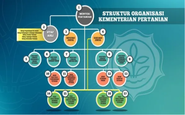 Gambar II.2. Struktur Organisasi  Kementerian Pertanian 