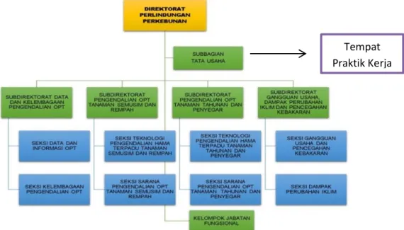 Gambar II.5. Struktur Organisasi Direktorat Perlindungan Perkebunan. 