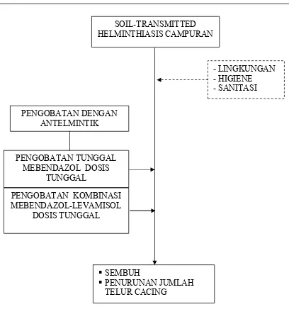 Gambar 1. Kerangka konsep penelitian 