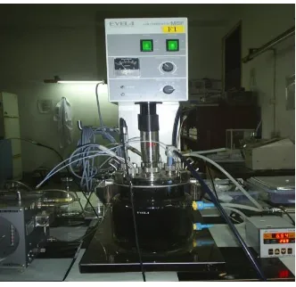 Figure 1.  Two litters fermentor used in this research 