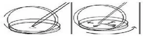 Gambar 5. Pour Plate Method   