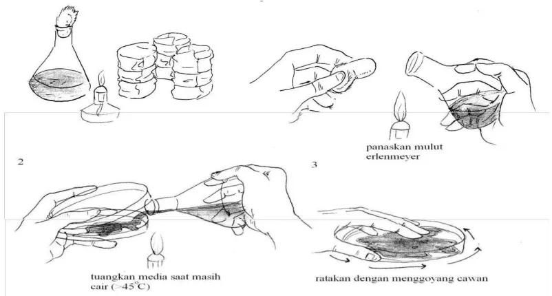 Gambar 8. Menuang media secara aseptis 