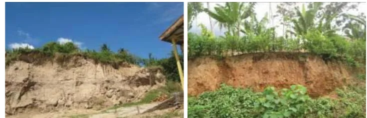 Table 1. Landslide hazard class based on sub-district in Karo Regency  
