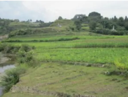 Gambar 2. Lahan pertanian di Sub Das Binanga Bolon 